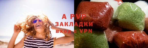 прущие крисы Вязьма