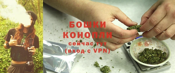 прущие крисы Вязьма