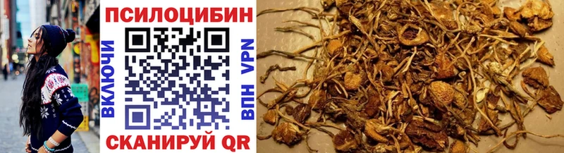 Псилоцибиновые грибы мицелий Купить закладки Красавино